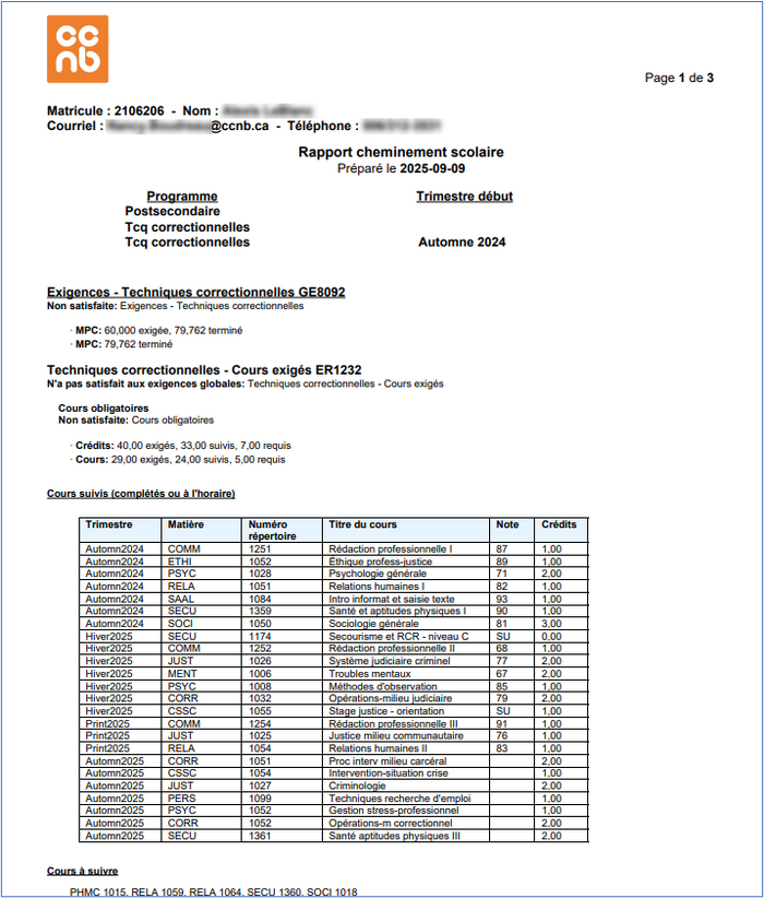 SAA STD DS pdf.png